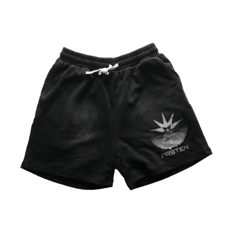 THE STANDARD NEVER SETS FADED SHORTS